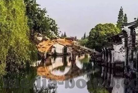 91麻豆视频在线看-91麻豆视频，绽放在线时代的视听盛宴