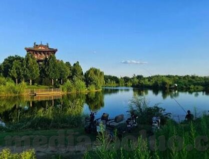 国产精品麻豆久久av-优化网络环境，构建健康的观看体验