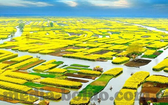 麻豆传媒app是什么-深入剖析麻豆传媒app及行业现象
