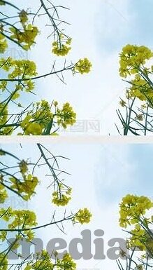 糖心app免费观看网站-您的网络空间安全与合法性讨论