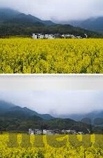 糖心app收费下载安装-糖心App，提升用户体验的费时下载与安装选择